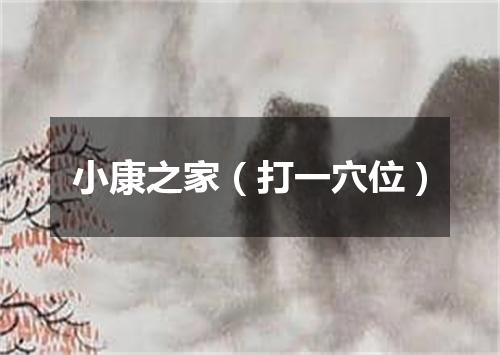 小康之家（打一穴位）