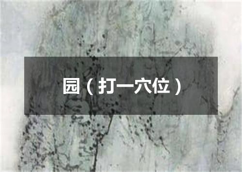 园（打一穴位）