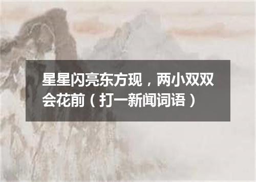 星星闪亮东方现，两小双双会花前（打一新闻词语）