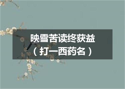 映雪苦读终获益（打一西药名）