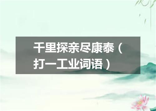 千里探亲尽康泰（打一工业词语）