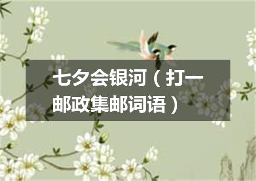 七夕会银河（打一邮政集邮词语）