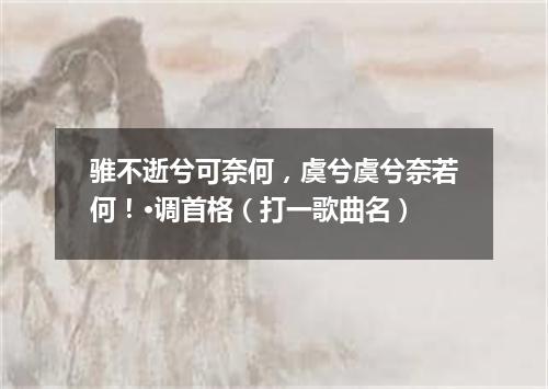骓不逝兮可奈何，虞兮虞兮奈若何！·调首格（打一歌曲名）