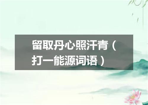 留取丹心照汗青（打一能源词语）