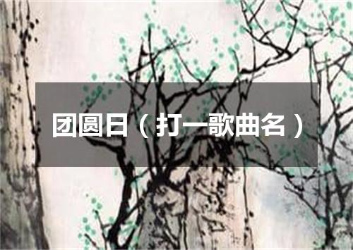 团圆日（打一歌曲名）