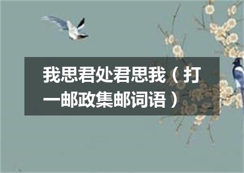 我思君处君思我（打一邮政集邮词语）