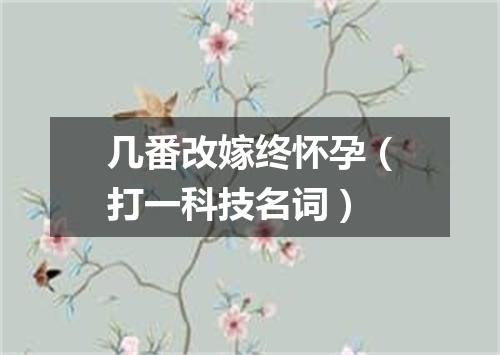 几番改嫁终怀孕（打一科技名词）