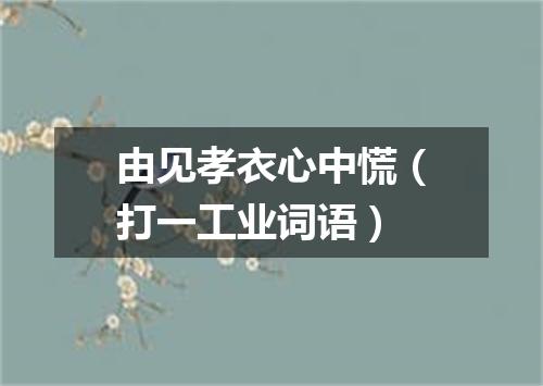 由见孝衣心中慌（打一工业词语）