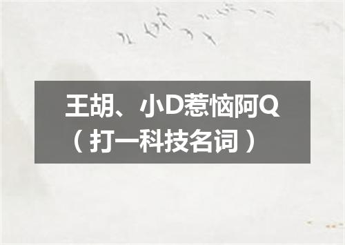 王胡、小D惹恼阿Q（打一科技名词）