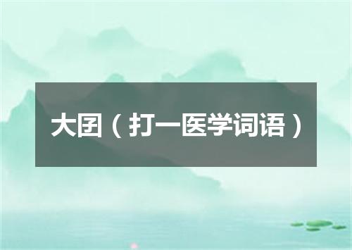 大囝（打一医学词语）