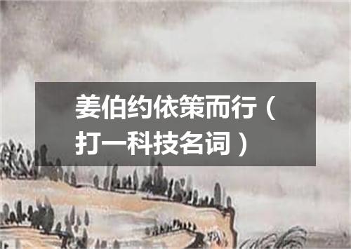 姜伯约依策而行（打一科技名词）