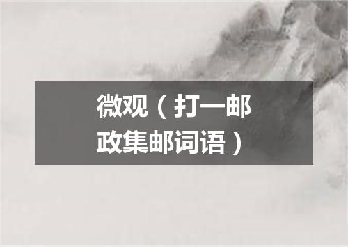 微观（打一邮政集邮词语）