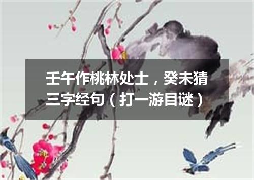 壬午作桃林处士，癸未猜三字经句（打一游目谜）