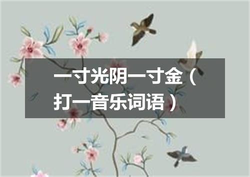 一寸光阴一寸金（打一音乐词语）
