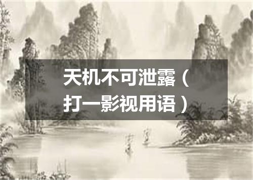 天机不可泄露（打一影视用语）