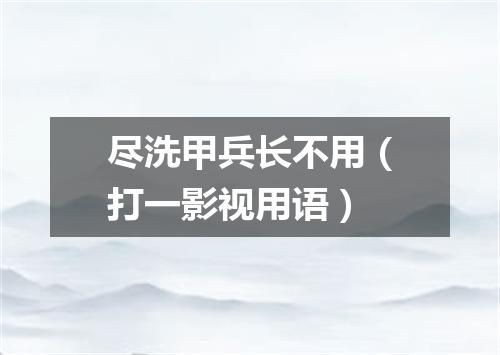 尽洗甲兵长不用（打一影视用语）