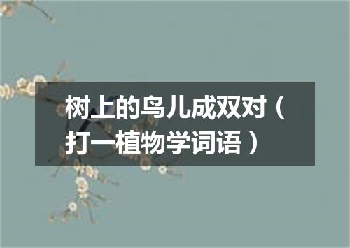 树上的鸟儿成双对（打一植物学词语）