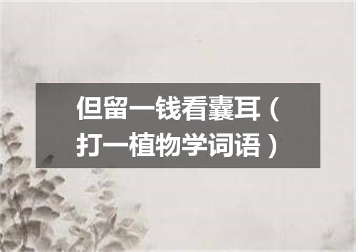 但留一钱看囊耳（打一植物学词语）