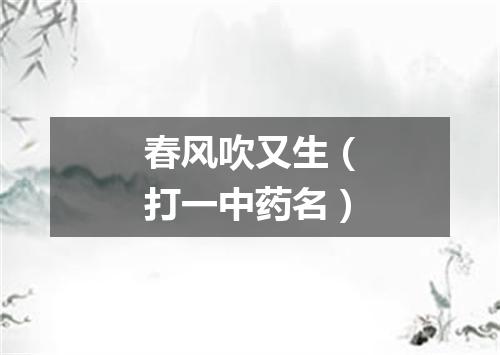 春风吹又生（打一中药名）