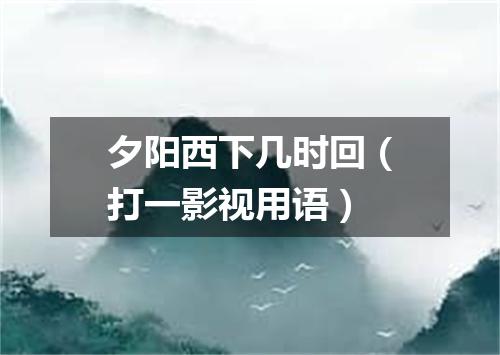 夕阳西下几时回（打一影视用语）
