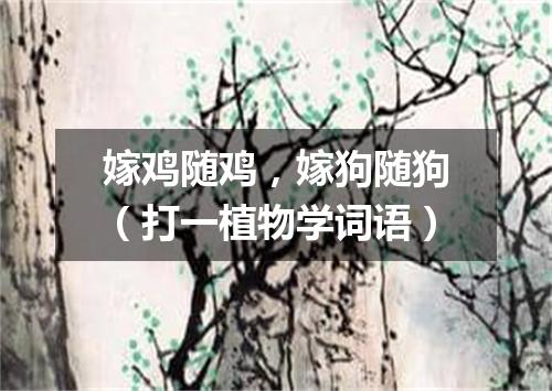 嫁鸡随鸡，嫁狗随狗（打一植物学词语）
