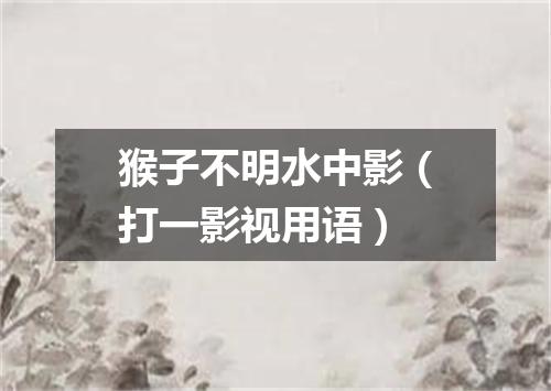 猴子不明水中影（打一影视用语）