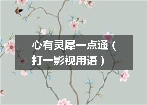 心有灵犀一点通（打一影视用语）