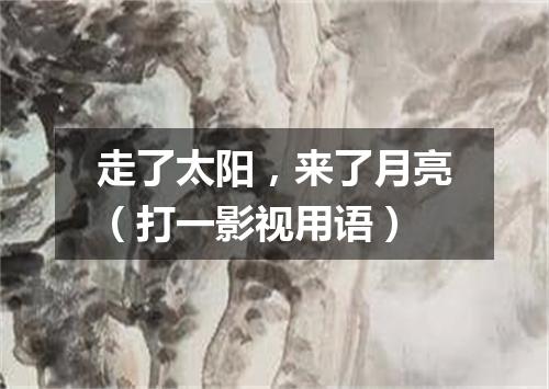 走了太阳，来了月亮（打一影视用语）