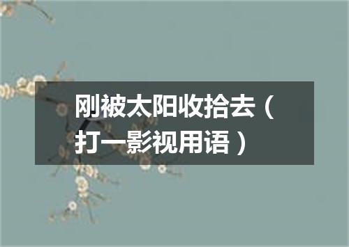 刚被太阳收拾去（打一影视用语）