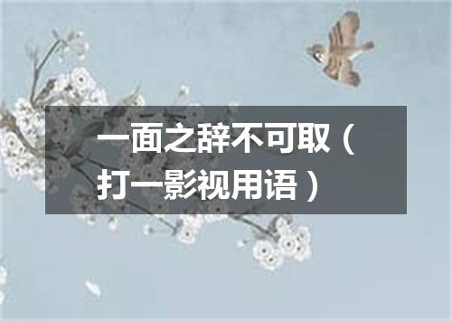 一面之辞不可取（打一影视用语）