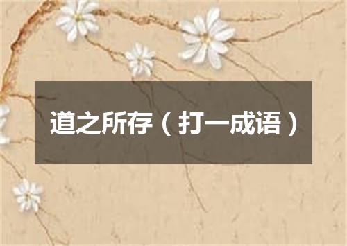 道之所存（打一成语）