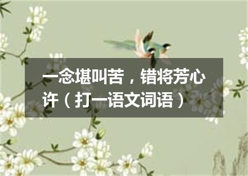 一念堪叫苦，错将芳心许（打一语文词语）