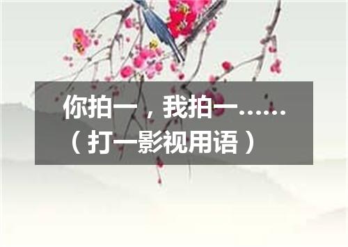 你拍一，我拍一……（打一影视用语）