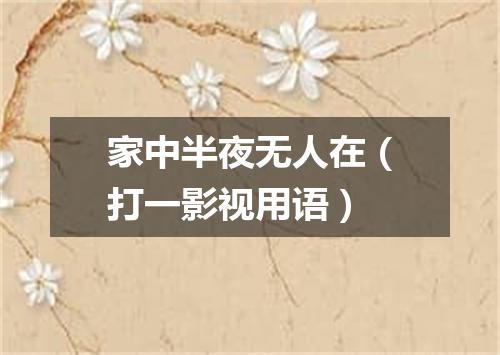 家中半夜无人在（打一影视用语）