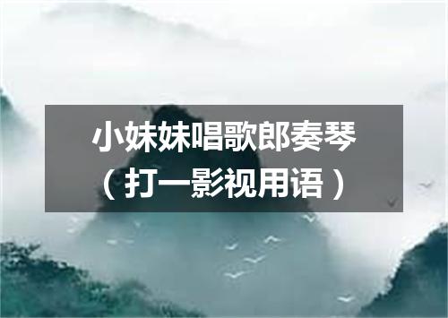 小妹妹唱歌郎奏琴（打一影视用语）