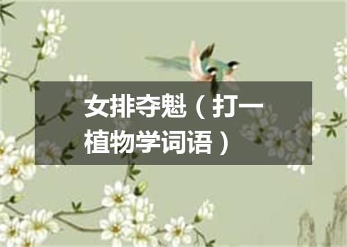女排夺魁（打一植物学词语）