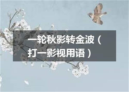 一轮秋影转金波（打一影视用语）