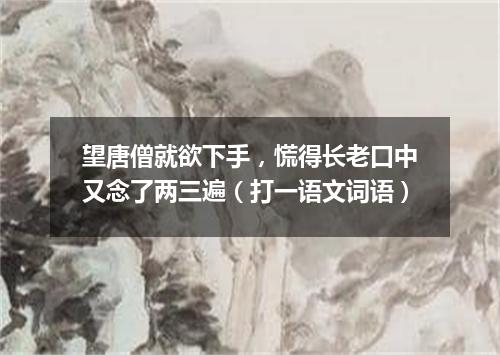 望唐僧就欲下手，慌得长老口中又念了两三遍（打一语文词语）