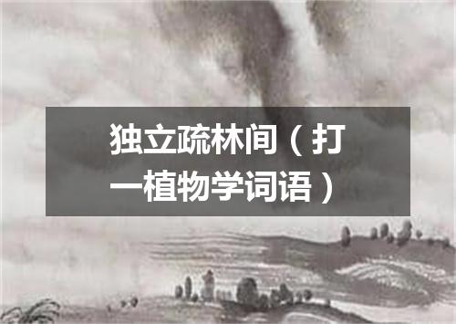 独立疏林间（打一植物学词语）