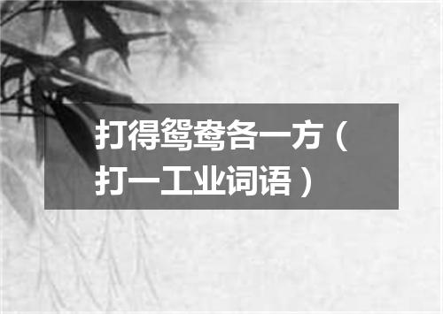 打得鸳鸯各一方（打一工业词语）