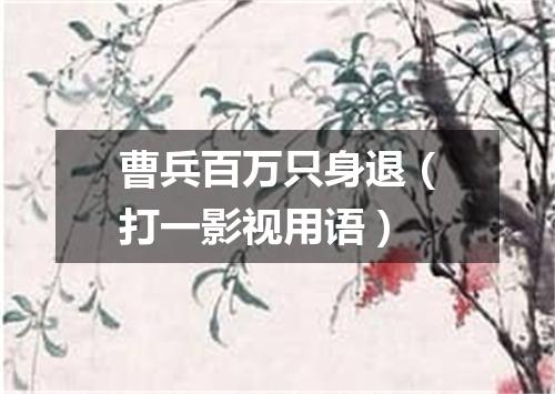 曹兵百万只身退（打一影视用语）