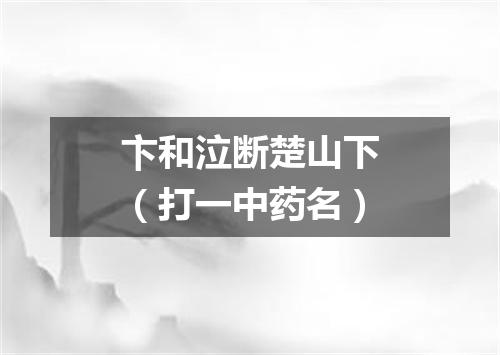 卞和泣断楚山下（打一中药名）