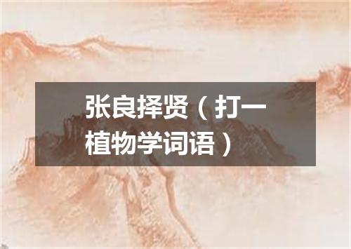 张良择贤（打一植物学词语）