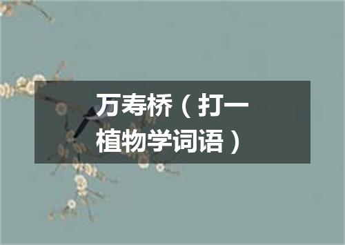 万寿桥（打一植物学词语）