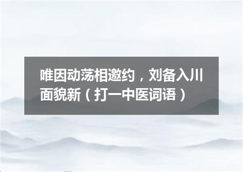 唯因动荡相邀约，刘备入川面貌新（打一中医词语）