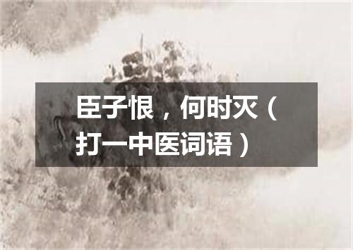 臣子恨，何时灭（打一中医词语）