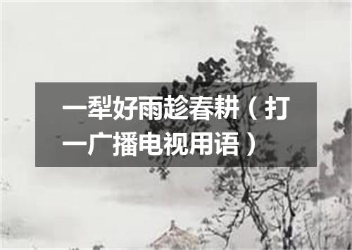 一犁好雨趁春耕（打一广播电视用语）
