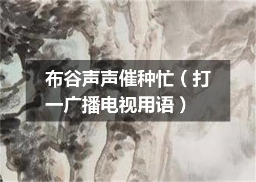 布谷声声催种忙（打一广播电视用语）