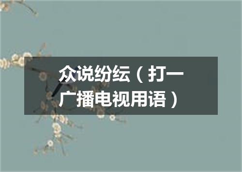 众说纷纭（打一广播电视用语）