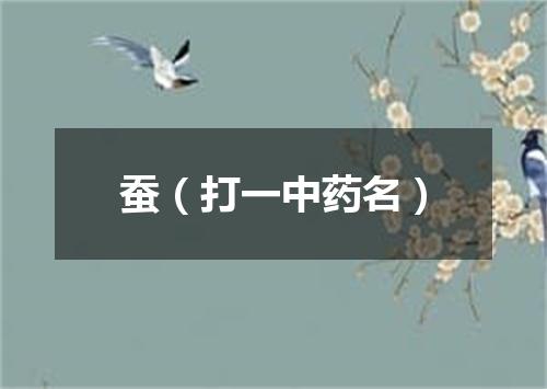 蚕（打一中药名）